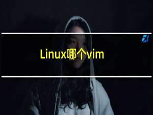 Linux哪个vim