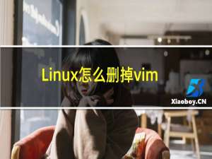 Linux怎么删掉vim
