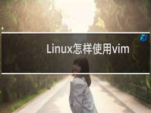 Linux怎样使用vim