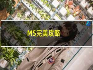 MS完美攻略