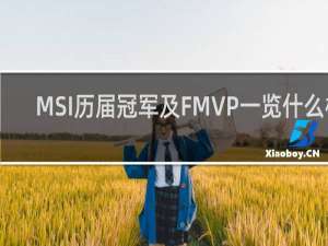 MSI历届冠军及FMVP一览什么梗