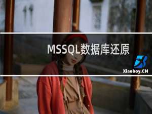 MSSQL数据库还原报错