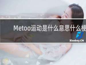 Metoo运动是什么意思什么梗