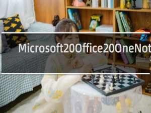 【Microsoft Office OneNote】免费Microsoft Office OneNote软件下载