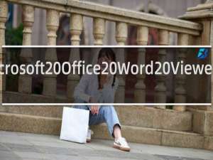 【Microsoft Office Word Viewer 2003】免费Microsoft Office Word Viewer 2003软件下载