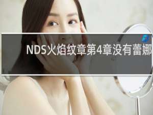 NDS火焰纹章第4章没有蕾娜