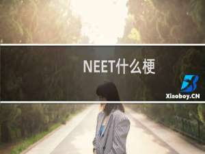 NEET什么梗