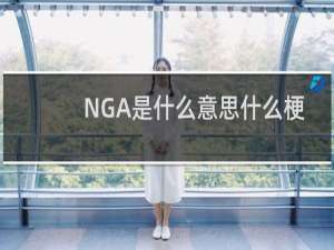 NGA是什么意思什么梗