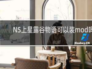 NS上星露谷物语可以装mod吗