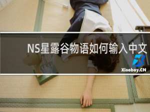 NS星露谷物语如何输入中文