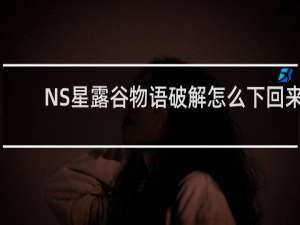 NS星露谷物语破解怎么下回来
