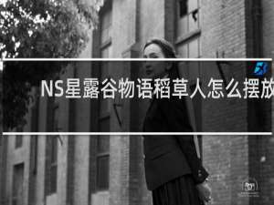 NS星露谷物语稻草人怎么摆放