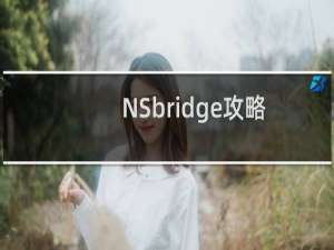 NSbridge攻略