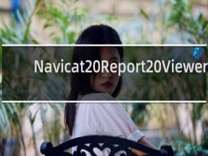【Navicat Report Viewer】免费Navicat Report Viewer软件下载