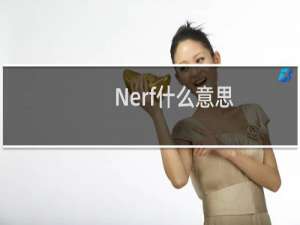 Nerf什么意思（nerf什么意思）