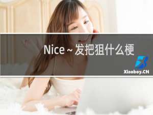 Nice～发把狙什么梗