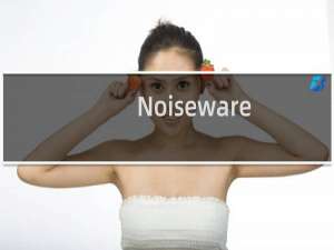 【Noiseware】免费Noiseware软件下载