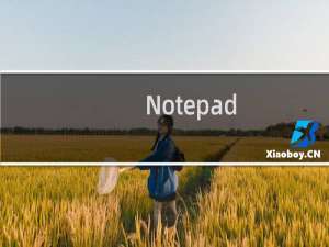 Notepad++怎么设置主题?