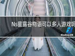 Ns星露谷物语可以多人游戏吗