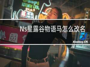 Ns星露谷物语马怎么改名