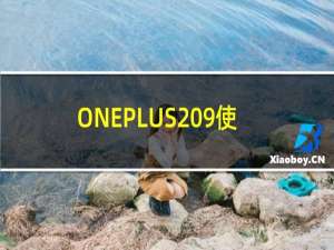 ONEPLUS 9使用与ONEPLUS 8T使用相同的显示屏