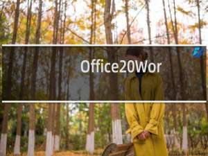 Office Word2016提示\