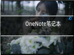 OneNote笔记本怎么设置密码? OneNote加密的教程