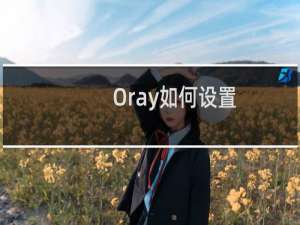 Oray如何设置.检测MX记录