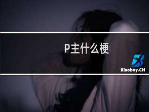 P主什么梗