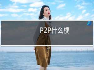 P2P什么梗