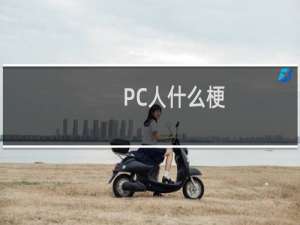 PC人什么梗
