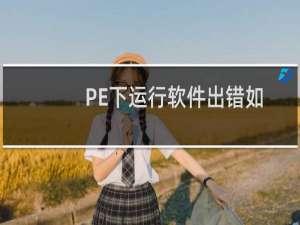 PE下运行软件出错如何处理