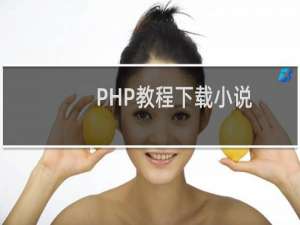 PHP教程下载小说