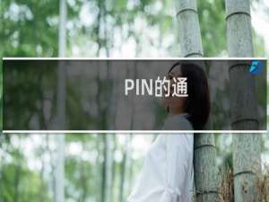PIN的通，为什么就是访问不了呢