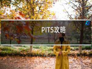 PITS攻略