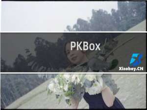 【PKBox】免费PKBox软件下载