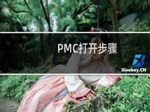 PMC打开步骤