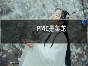 PMC是条龙