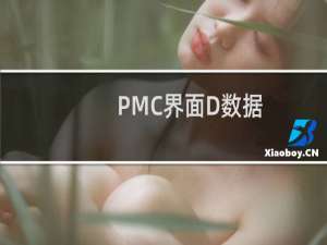 PMC界面D数据