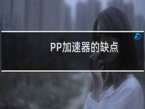 PP加速器的缺点