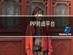 【PP对战平台】免费PP对战平台软件下载