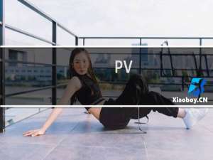 PV/UIP服务是什么