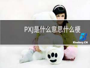 PXJ是什么意思什么梗