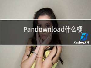 Pandownload什么梗