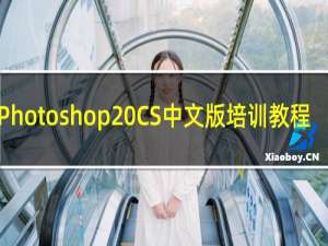 Photoshop CS中文版培训教程