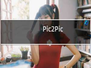 【Pic2Pic】免费Pic2Pic软件下载