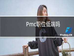 Pmc职位低端吗