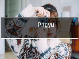 【Pngyu】免费Pngyu软件下载