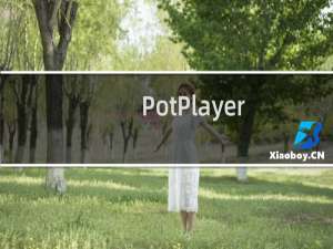 【PotPlayer】免费PotPlayer软件下载