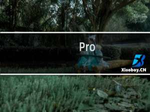 Pro/E 工程图同轴度标注